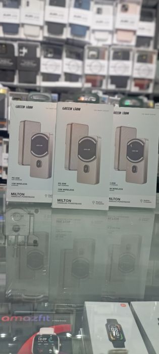 Power bank green lion