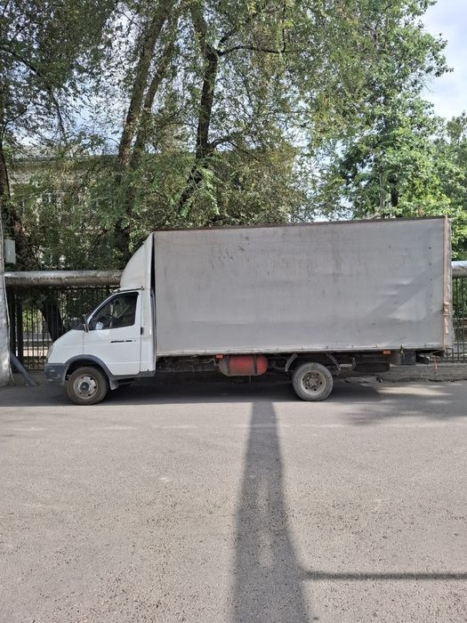 Газел сотилади срочно