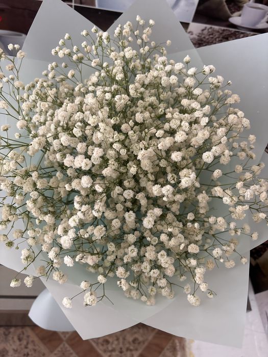 Продам цветы