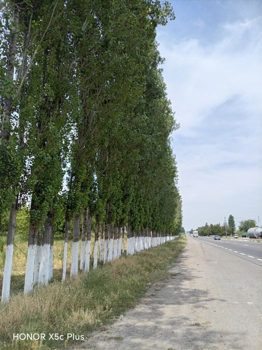 Teraklar sotiladi