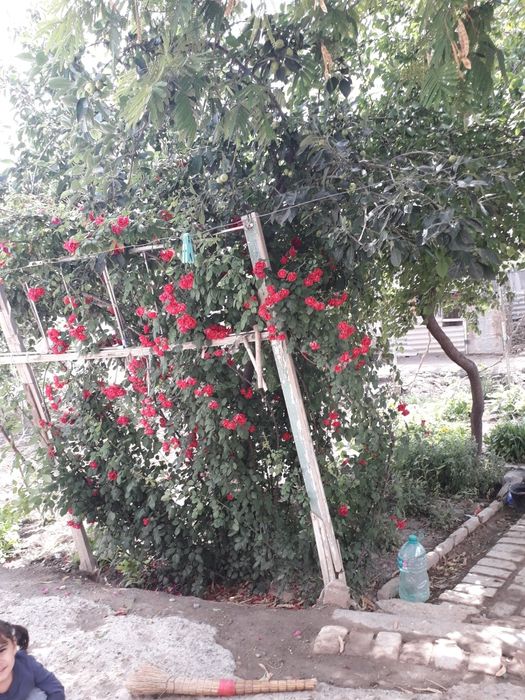 Продам срочно участок