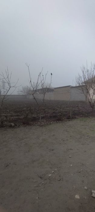 Yer sotiladi 3200 dan 1 sotx yer