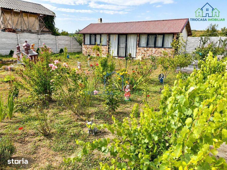 Casa moderna MURGASI