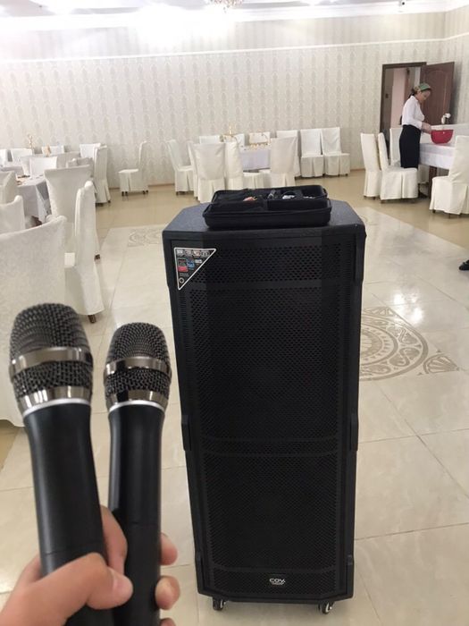 микрофон с колонкой в аренду в прокат