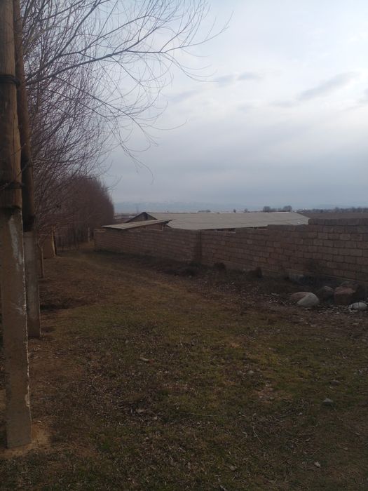 Фазенда 2,6 гектар жеримен