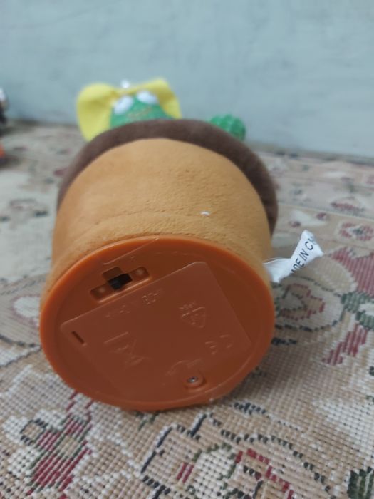 Ишрушка кактус павтаряет галаса