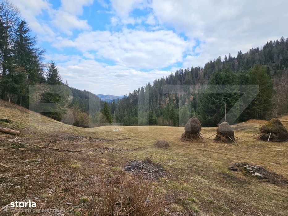 Teren extravilan 11.480 mp cu potential intravilan – Trancesti, Scar