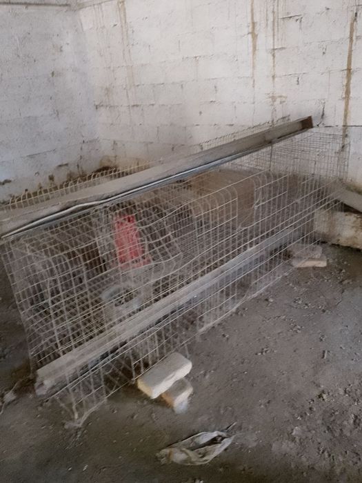 Клетка для кур  на 500 кур для яйица  всё комплект кормушка латок ёмко