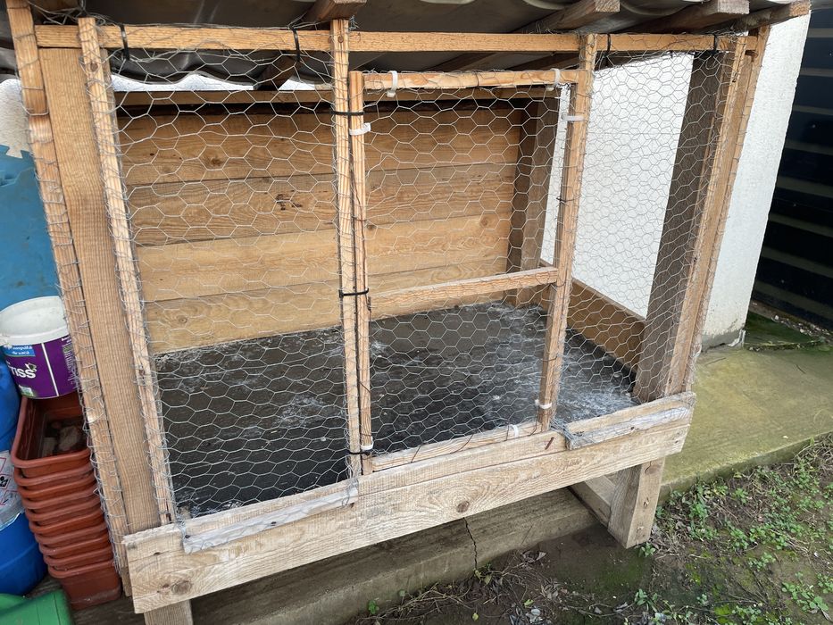 Vand cusca de iepuri