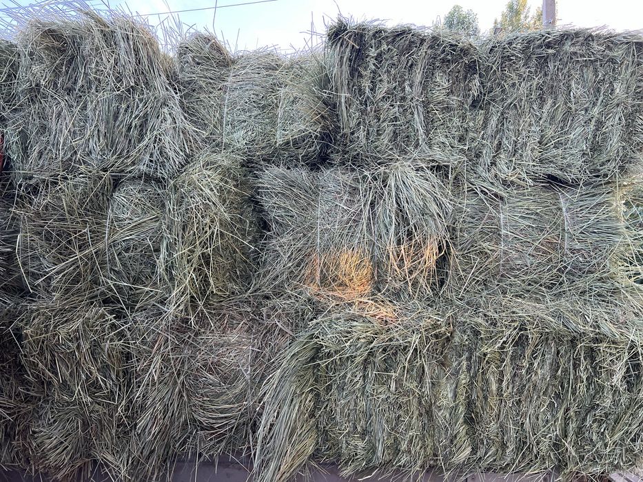 Продам Свежее Сено в Тюках
