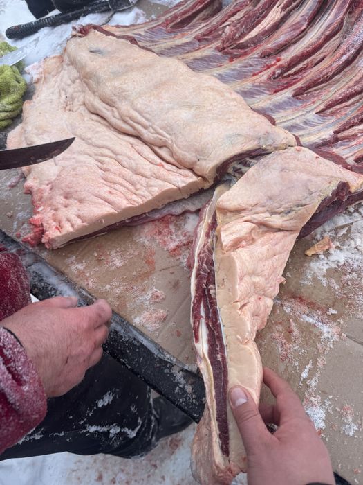 Мясо конины! Жылқы еті аяқтап