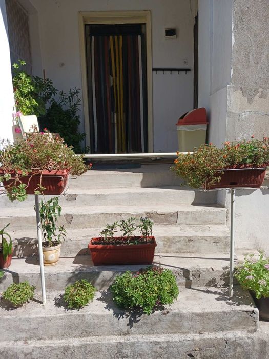 Продава се Къща в с. Брегаре, Област Плевен - 60 кв.м за 298 €/кв.м - Снимка #1