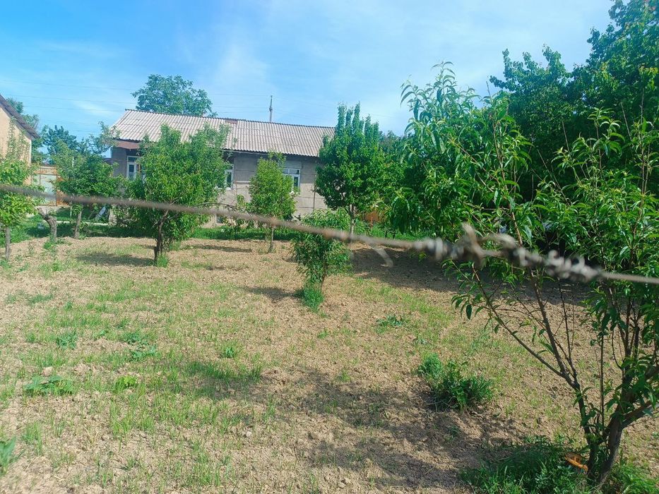 Продаётся участок 9соток. Кибрае. Чистый воздух.