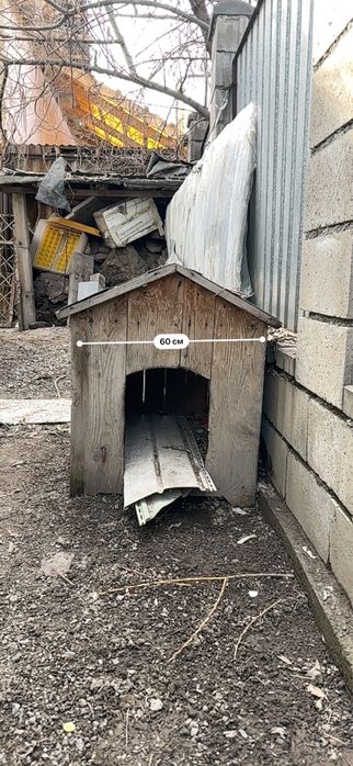 Бутка для собаки