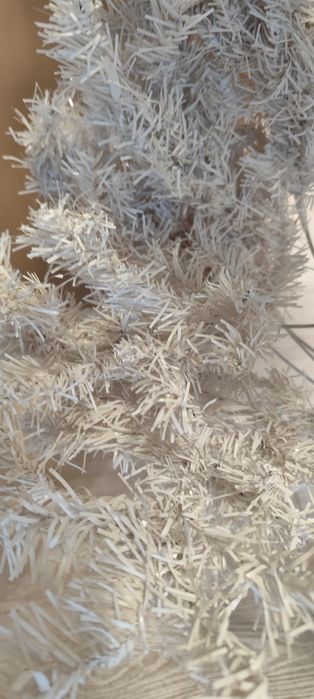 Бяла коледна елха