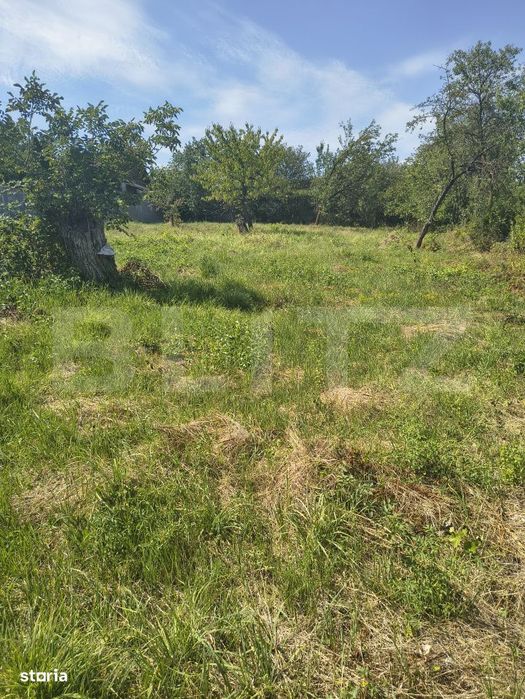 Casa cu teren generos de 1.200 mp – zona nord-vestica