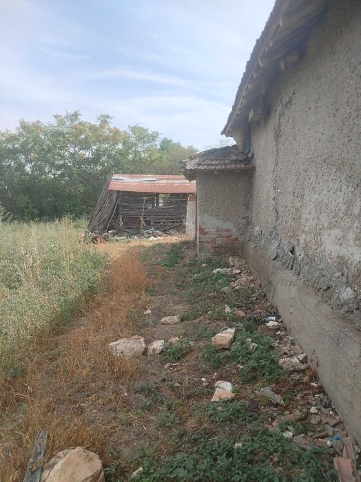 Продава се Къща в с. Добротица, Област Силистра - 4000 кв.м за 6 €/кв.м - Снимка #6