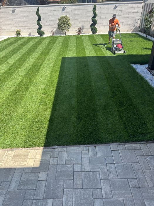 Servicii amenajari spatii verzi