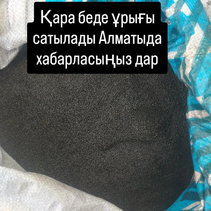 Жоңышқа тұқымы сатылады