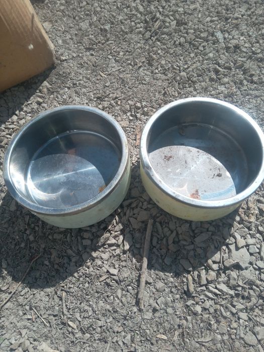 Миски для животных кошки собаки