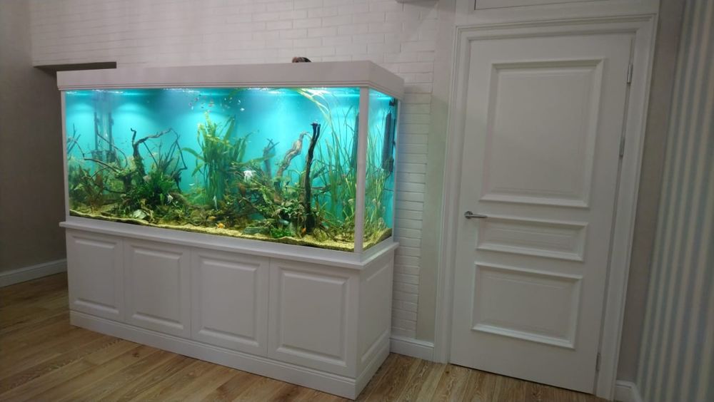 Аквариум "под ключ"