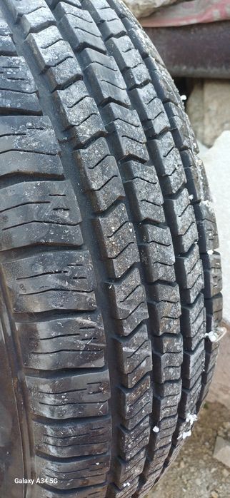 Новый пакришкасы