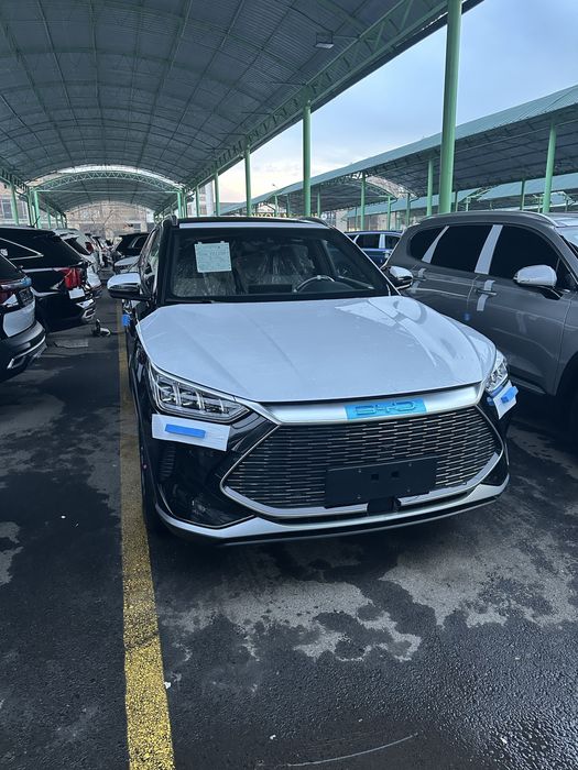 BVD song plus 2023 yil