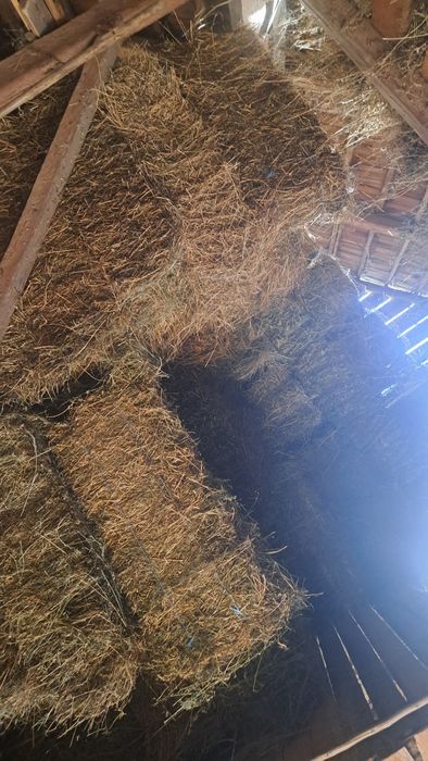 Baloti de lucerna si trifoi