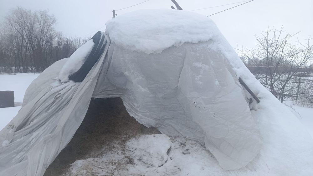 Продам сено стог, не рулоны