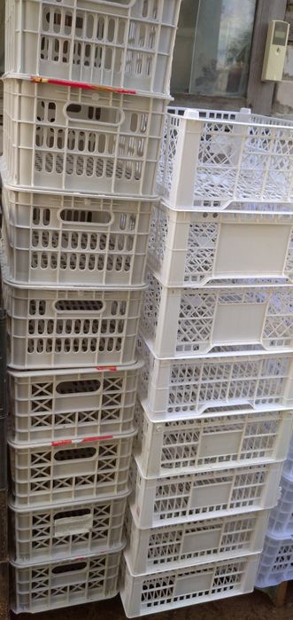 Ящики пластмассовые