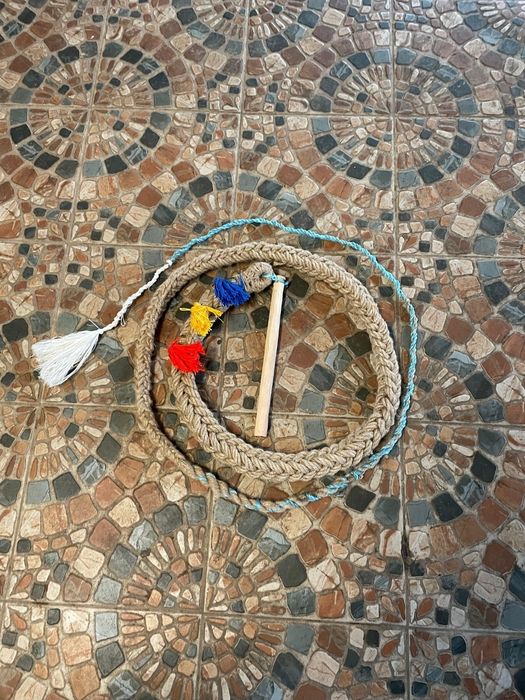 Bice traditionale de plugusor