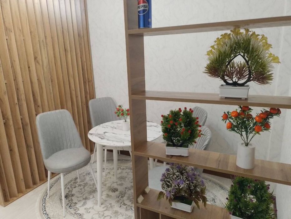 2/3/6 Темур Малик