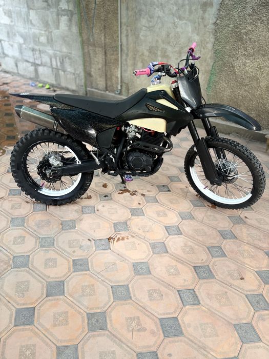 Progasi palma 300