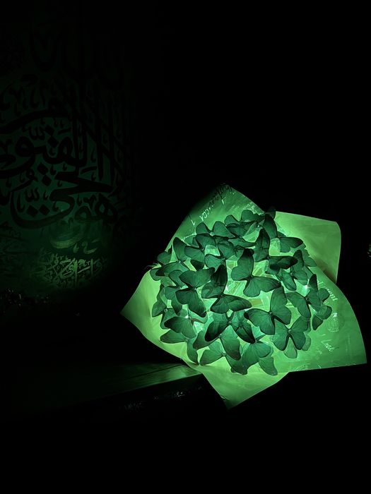 Букеты из бабочек! Цена от 50.000