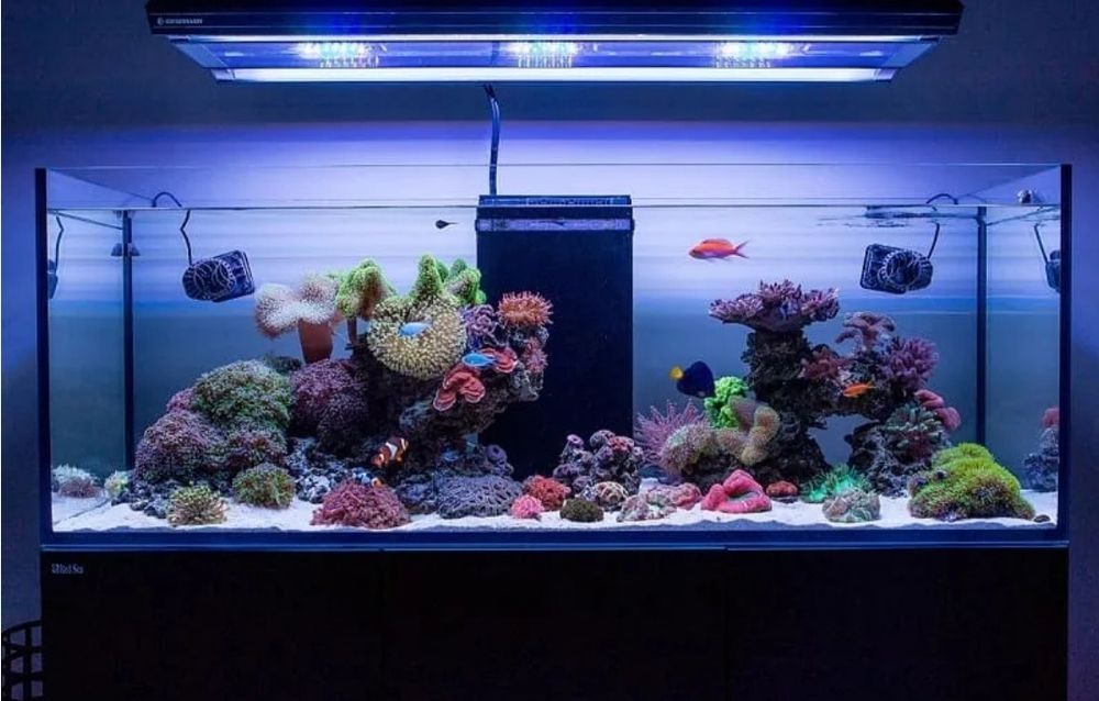 Морской аквариум