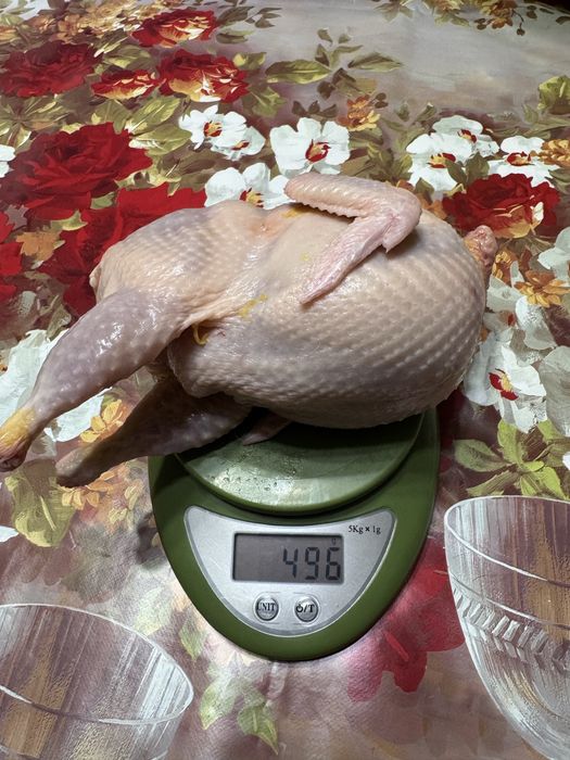 Перепелиное Мясо