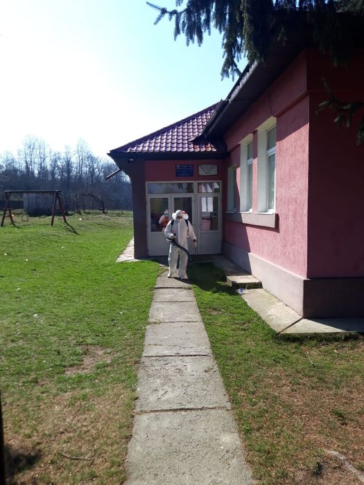 Servicii deratizare , dezinsectie , dezinfectie plosnite - gandaci