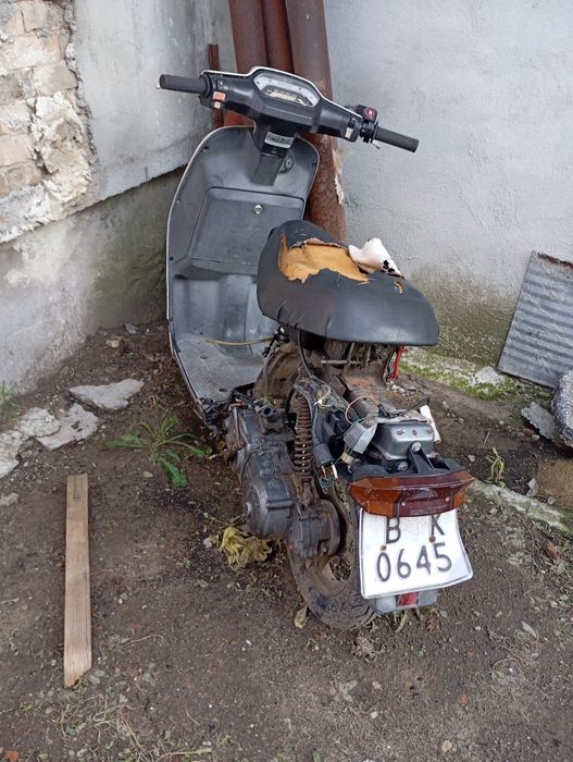 Хонда такт 50кубика