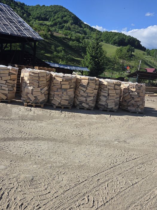 Lemn de foc, esență fag