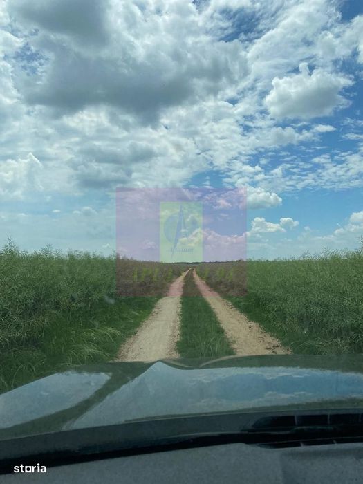 Teren 6,26 ha lângă DEx12 Pitești