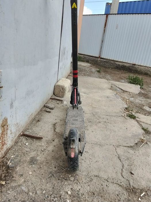 Салауат электрический