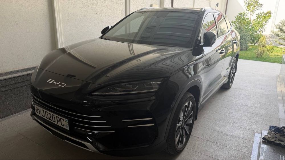 Byd chempion gibrid 150 tali kraska toza