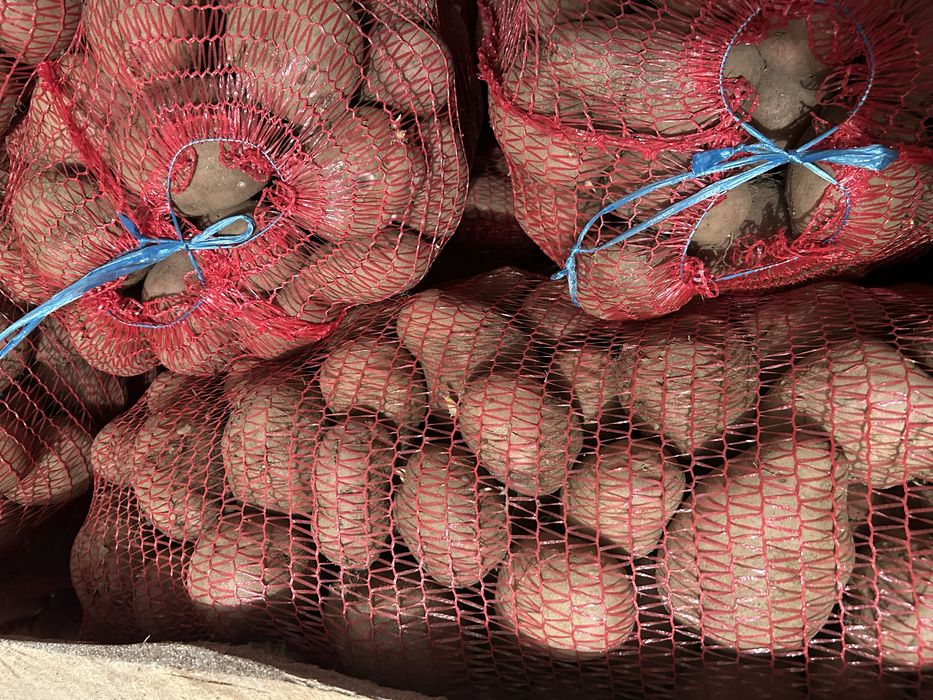 Cartofi rosii  de consum pret negociabil