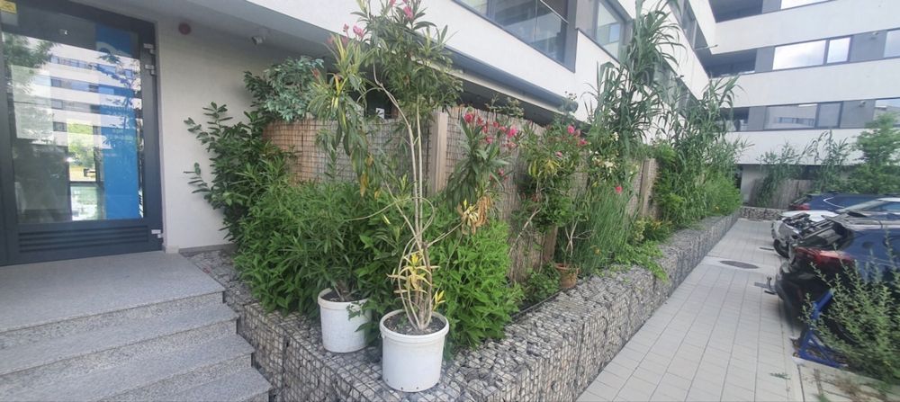 Apartment in Ilfov - Vedere 5