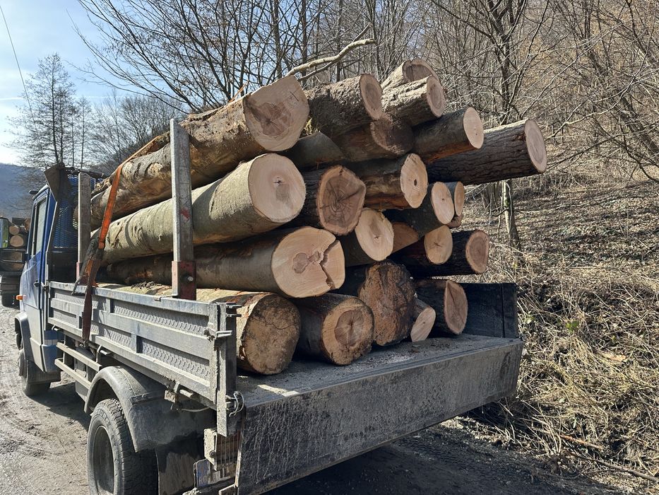 Lemn de foc    Lemne de foc