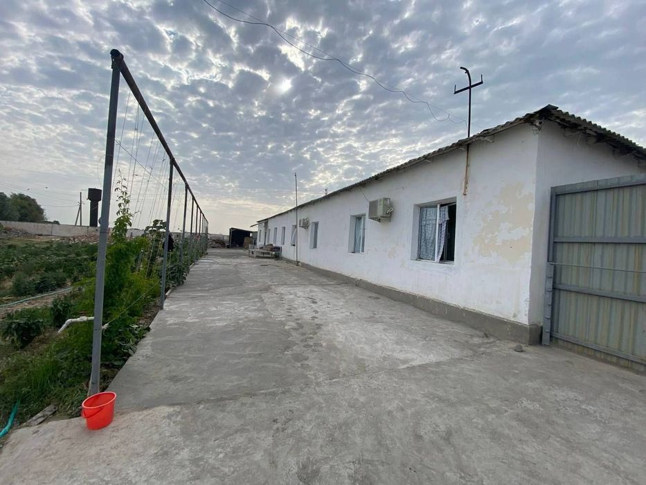 Продаётся фермерское хозяйство