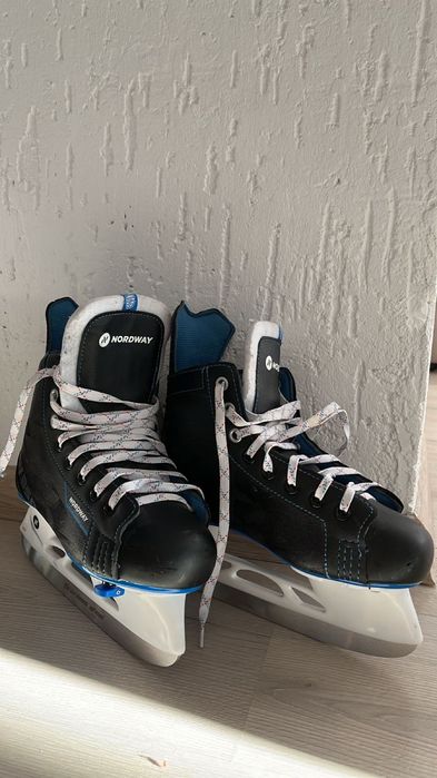 Коньки…………………………