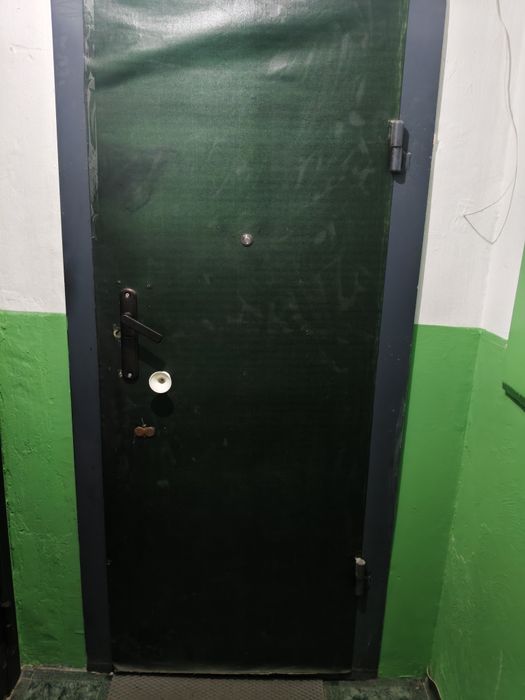 Дверь входная рабочая