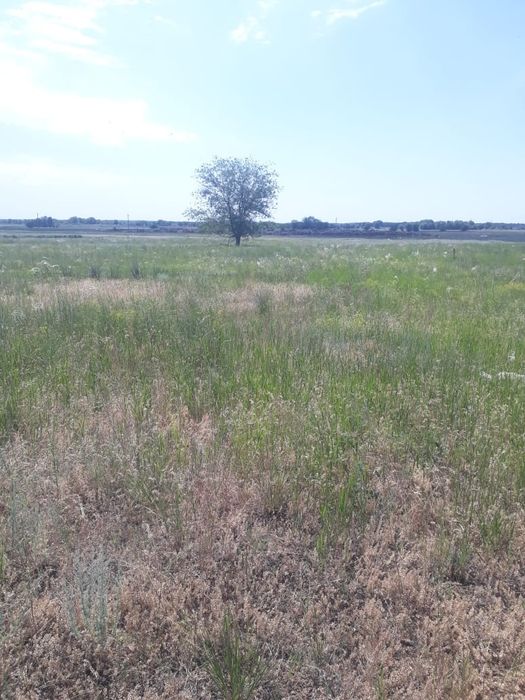 продажа участков