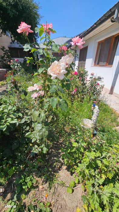 Casă cu teren de vânzare în Țiglina 3  zonă de case, poziție excelentă